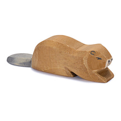 Beaver Lying