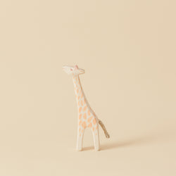 Giraffe small head high